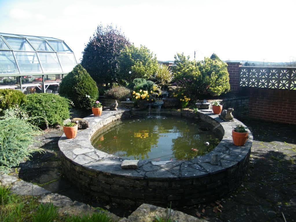 Clyst Saint Mary伊斯特科特豪华宾馆住宿加早餐旅馆 外观 照片